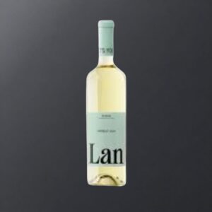 Lan Verdejo